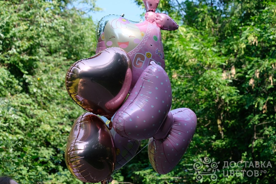 Воздушные шары Набор Новорожденный Малышка Девочка